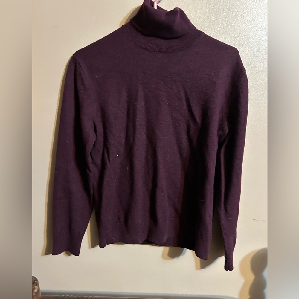 Banana Republic Women's Rich Purple Turtleneck Sweater